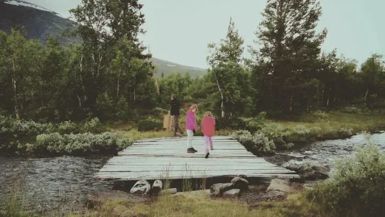 Ulsakstolen