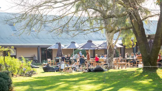 Brown Brothers Milawa Vineyard