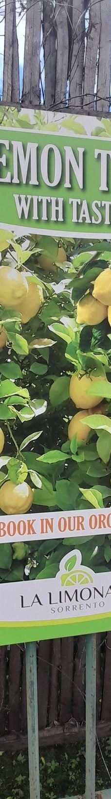 I Giardini di Cataldo-索伦托