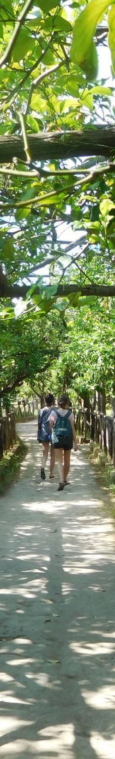 I Giardini di Cataldo-索伦托