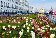 Eastbourne Pier景点图片