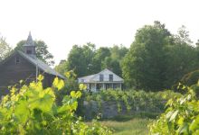 Whaleback Vineyard景点图片
