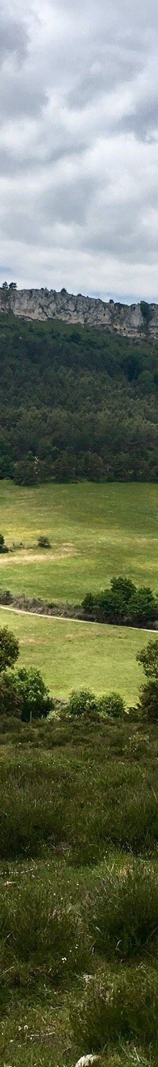 Parque Natural de Valderejo-Arabako Ibarrak