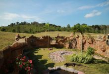 Bintan Eco Farm景点图片