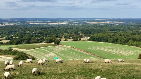 Combe Gibbet