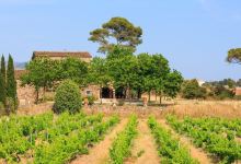 Château de Cabran景点图片