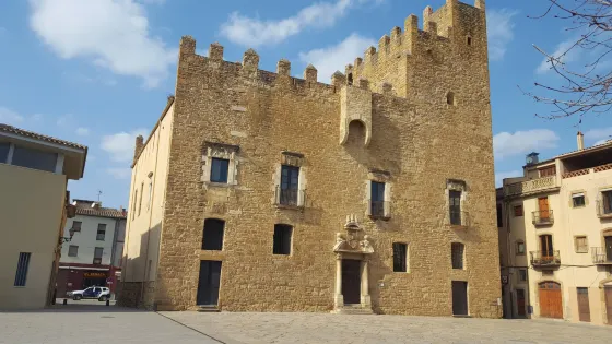 Castell Palau