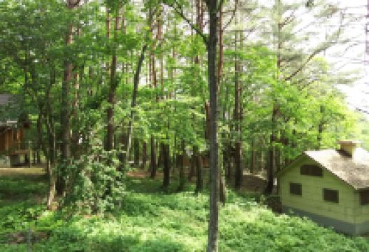 恐罗汉山景点图片