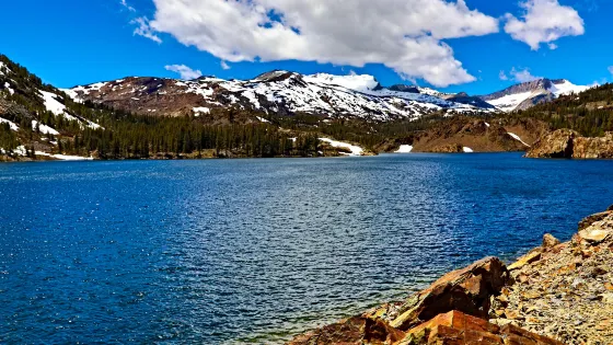 Ellery Lake Lookout
