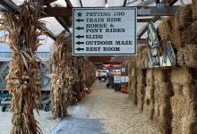 Daniels Farm & Greenhouse景点图片