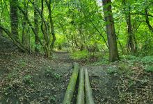 Park Veľký Meder景点图片