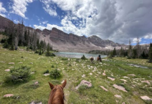 High Uintas Wilderness景点图片