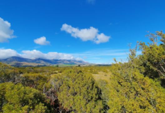 South West New Zealand World Heritage Area景点图片