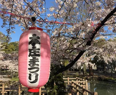 若泉公園