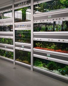 Dehner Garten-Center-开姆尼茨