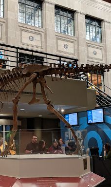 布法罗科学博物馆-布法罗