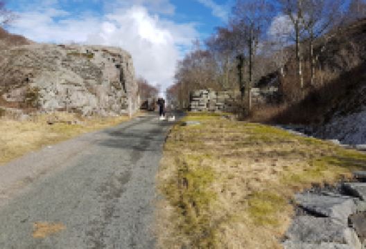 Hølland Gård gartneri购物图片