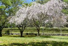 Inunakigawashinsui Park景点图片