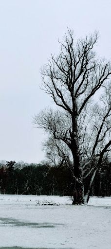 Spielplatz-瓦登伯格