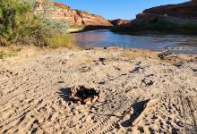 Mexican Hat Rocks Dry Camping景点图片