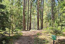 Sportland Elva disc golf park景点图片