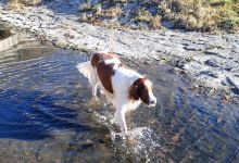 Mydlovarský luh景点图片