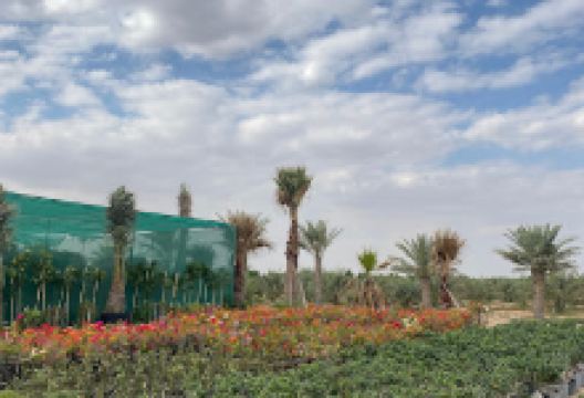 Mashtal Haramain WLL (mashtal.qa)购物图片