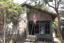 Darmaga Talang Balam景点图片