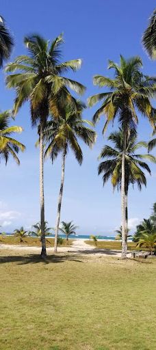 Assinie la passe-阿迪亚凯