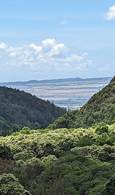 West Maui Forest Reserve-茂宜县