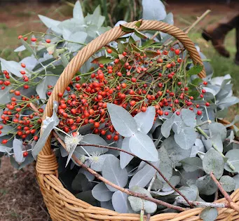 Samaria Farm