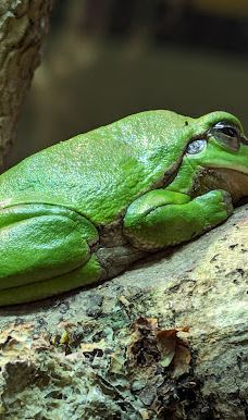 Naturbornholm-阿克尔科拜