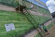 Oglethorpe Mural景点图片