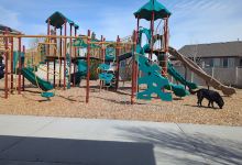 WildWood Park景点图片