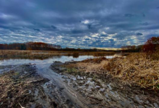 Lake Shore Marshes景点图片