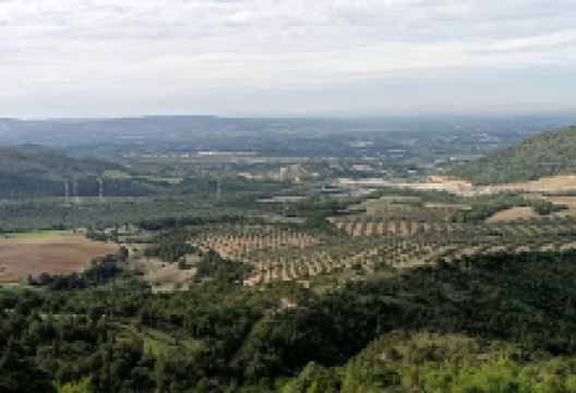 cédria parc景点图片