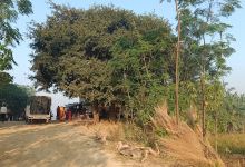 Hathmunda, Chhath Ghath景点图片