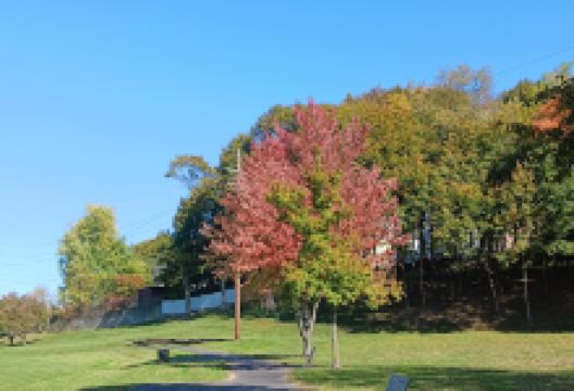 Crescent Field景点图片