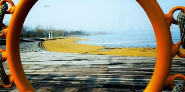 東營悅來湖公園