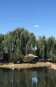 清河营郊野公园-北京
