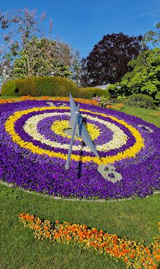 Flower Clock-库里提巴