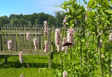 44GREEN Tuinontwerp & tuincoaching景点图片