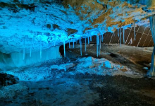 C. I. Animals Glacial Avin and Cave Peruyal景点图片