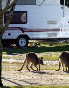 Country Style Caravan Park-斯坦索普