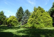 Meadowlark Botanical Gardens景点图片