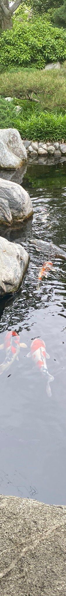 Japanese Friendship Garden & Museum-圣地亚哥