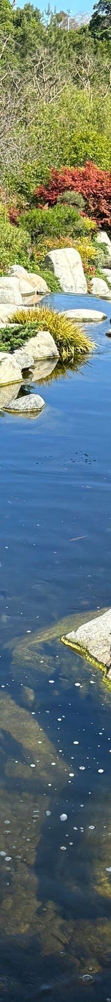 Japanese Friendship Garden & Museum-圣地亚哥