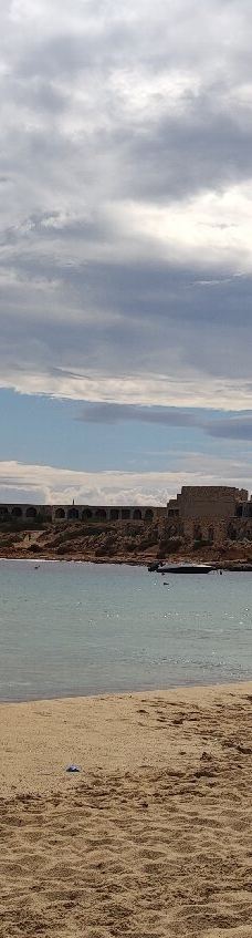 Cedar Forest of Alyko-纳克索斯