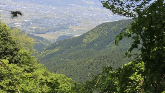 井原山
