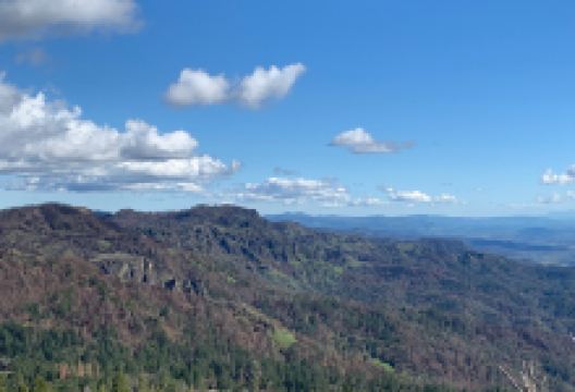 Robert Louis Stevenson State Park景点图片